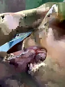 Huynh-duc-huy online show from February 2026 07:24:02 AM