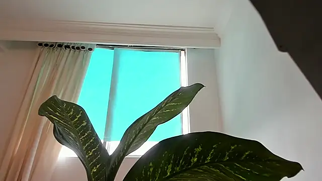 canelleGarces online show from February 2026 06:01:02 PM