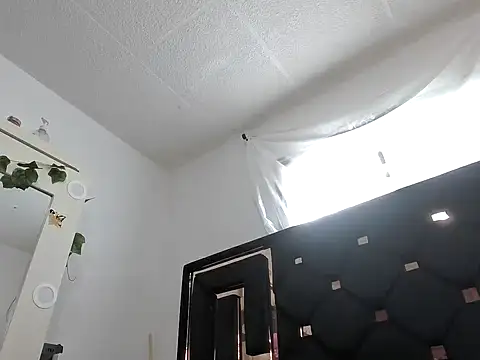 vegacristal88 online show from October 2025 02:40:02 PM