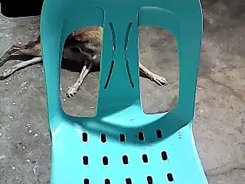 Snapshot of sexyannie25 chatting on November 2025 06:18:01 PM sexyannie25 online show from November 2025 06:18:01 PM