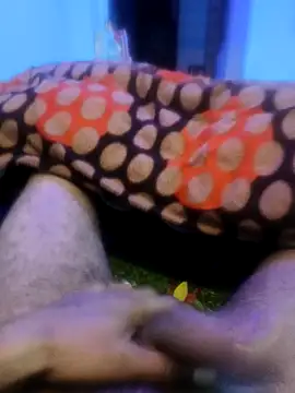 pppppp7811 online show from February 2026 05:43:01 PM