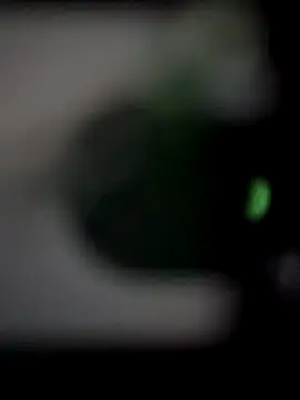 chocolate bella online show from September 2025 03:25:01 PM