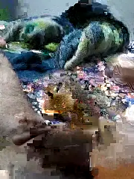 sitonmycock  online show from October 2025 09:01:01 PM