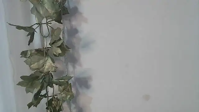 Snapshot of angelainparis28 chatting on October 2025 04:55:02 AM angelainparis28 online show from October 2025 04:55:02 AM