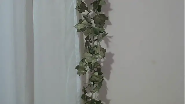 Snapshot of angelainparis28 chatting on November 2025 05:00:02 AM angelainparis28 online show from November 2025 05:00:02 AM