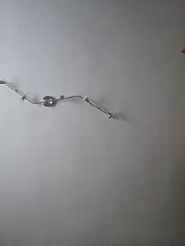 Hamutip online show from October 2025 12:50:01 PM