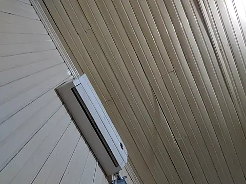 Gustavo198045 online show from February 2026 06:53:02 AM