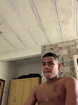 Novindot23cm online show from November 2025 04:49:01 PM