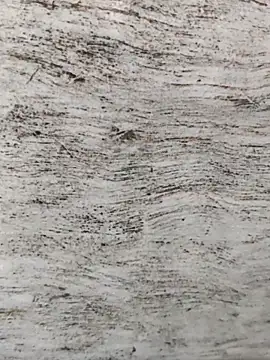 hot plak online show from November 2025 04:43:02 PM