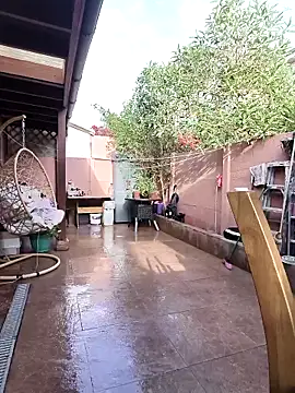 Snapshot of xjuanaxmaldadxxx chatting on February 2026 12:05:02 PM xjuanaxmaldadxxx online show from February 2026 12:05:02 PM