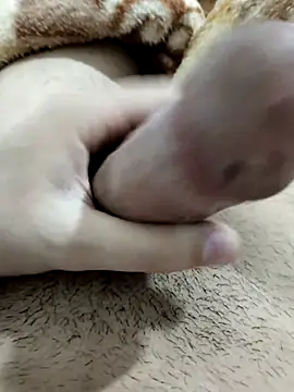 Zepe 12 online show from February 2026 11:34:02 PM