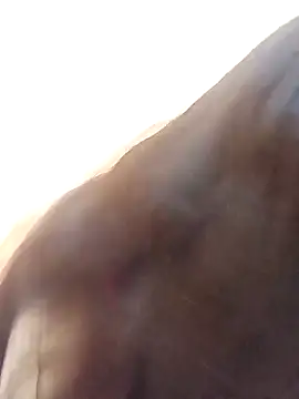 Payal-001 online show from October 2025 07:27:01 PM