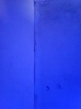 RandalHot online show from November 2025 02:06:02 PM