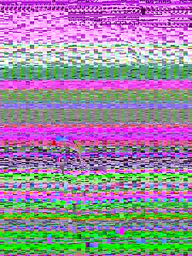 pnwzo online show from October 2025 08:28:02 PM