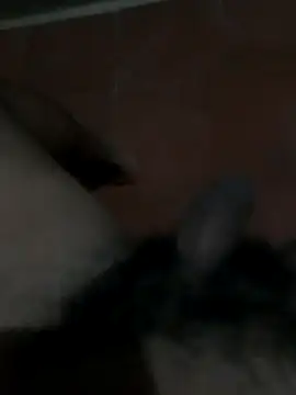 PhlegmySewerage online show from October 2025 01:16:02 AM