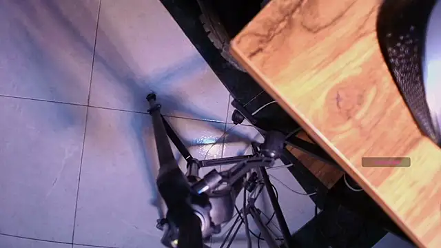 Terraelowen online show from November 2025 11:31:02 AM