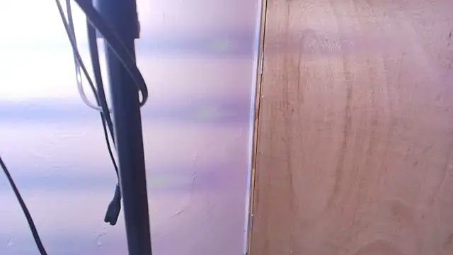 Terraelowen online show from February 2026 11:30:01 AM