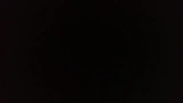 Terraelowen online show from April 2026 01:16:01 PM