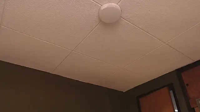 PaulEvens online show from October 2025 01:25:02 PM