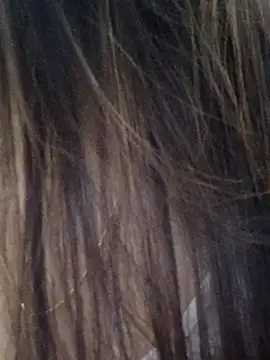 DPK25 online show from December 2025 11:06:02 AM