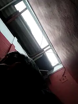 solpeich online show from February 2026 01:34:02 PM