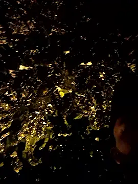 Klose1234 online show from January 2026 04:15:01 AM