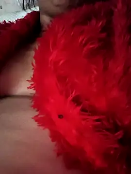 heena3355 online show from November 2025 04:12:01 AM