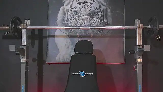 DimitriDeluxe online show from December 2025 07:45:02 PM