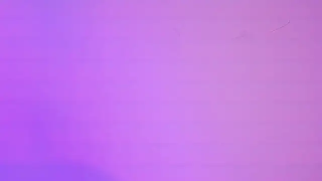 Megan Luxe online show from February 2026 04:39:02 AM