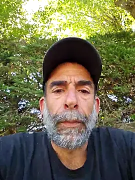 Stingles online show from August 2026 10:28:02 AM