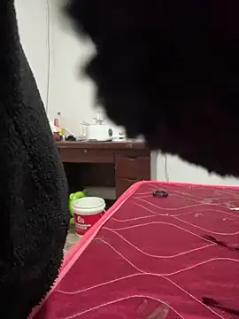 crhong666 online show from December 2025 12:26:02 AM