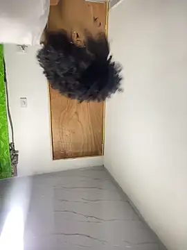 delaylacruz online show from November 2025 11:28:01 PM