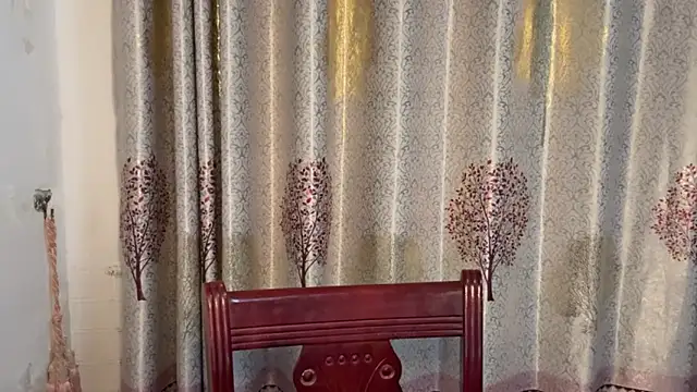 w5206t online show from November 2025 12:37:02 PM