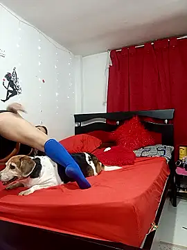 Lady 16 online show from February 2026 04:30:02 AM