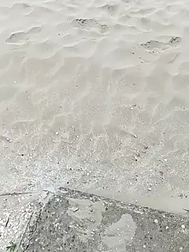 pegaso369 online show from September 2025 01:13:01 PM