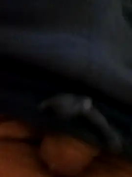 pegaso369 online show from October 2025 11:43:01 PM