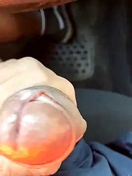 pegaso369 online show from March 2026 10:42:02 AM