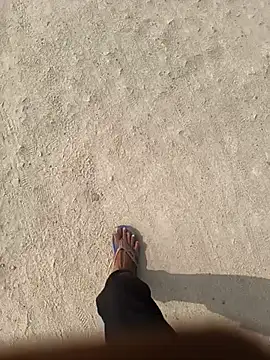 Bio-teacher online show from October 2025 08:13:02 AM