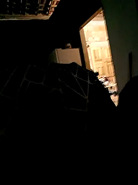 Snapshot of Rafael-01 chatting on September 2025 04:27:01 AM Rafael-01 online show from September 2025 04:27:01 AM