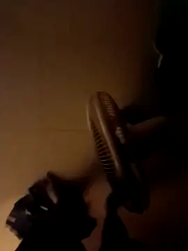 newboygoa online show from April 2026 01:19:01 PM