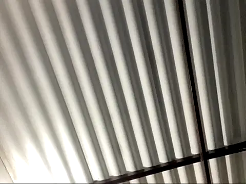 SexIngenieur online show from February 2026 10:19:02 AM