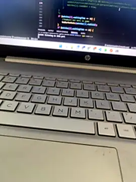 NoddingScorpion online show from November 2025 10:07:01 AM