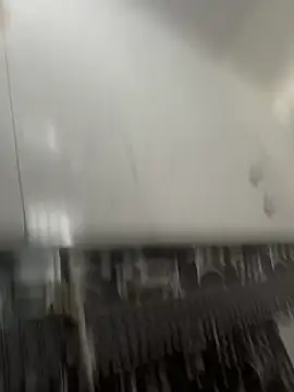 NoddingScorpion online show from March 2026 10:30:02 AM