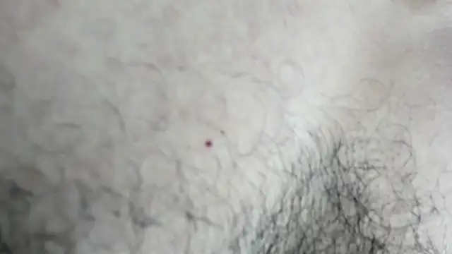 latinhotmuscle online show from October 2025 03:18:01 AM