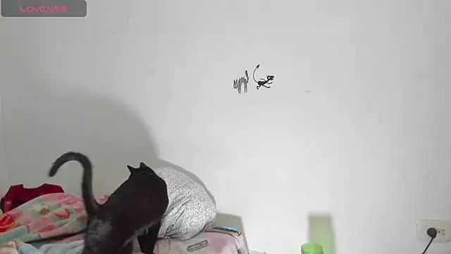 Raven Rouge  online show from September 2025 06:17:02 AM