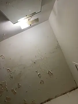 Snapshot of heytherepeoples717 chatting on November 2025 04:01:01 AM heytherepeoples717 online show from November 2025 04:01:01 AM