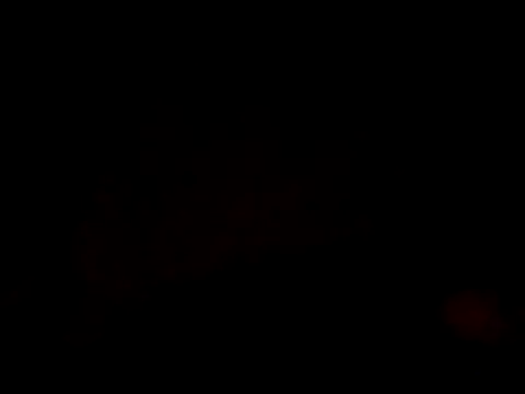 HoT BoY  Salim Khan BD online show from February 2026 05:16:02 PM