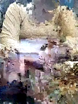 Gopika Dudi online show from March 2026 01:41:02 AM