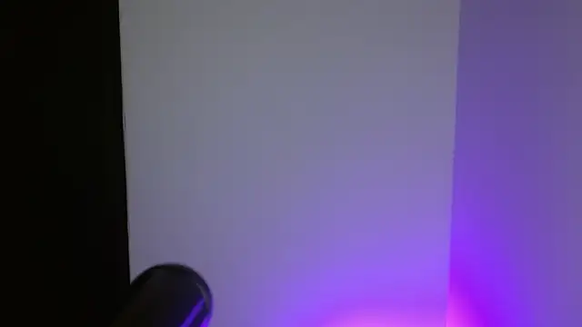 shelbygp online show from September 2025 12:04:02 PM