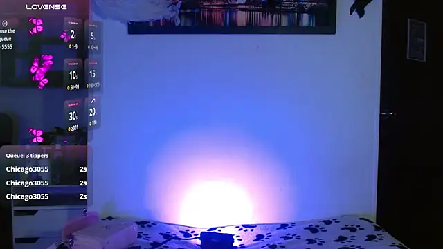 shelbygp online show from October 2025 11:19:02 AM